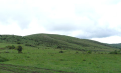 Paisaje del Alto Oja. Este enlace se abrirá en una ventana nueva